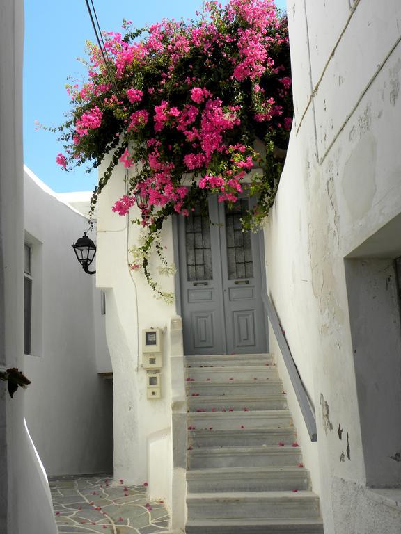 Hotel Anixis Naxos City 외부 사진