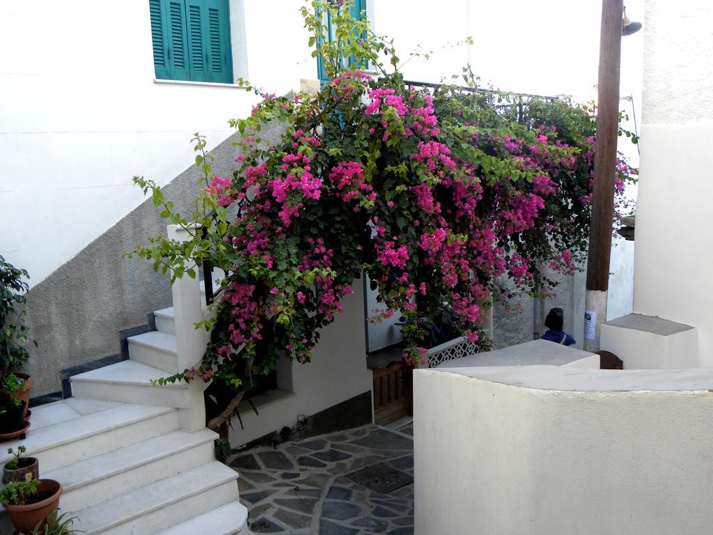 Hotel Anixis Naxos City 외부 사진